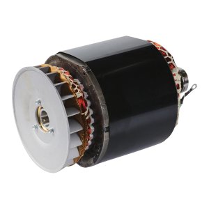 Альтернатор в сборе (ротор+статор) для DS 5500 A ES (641694)